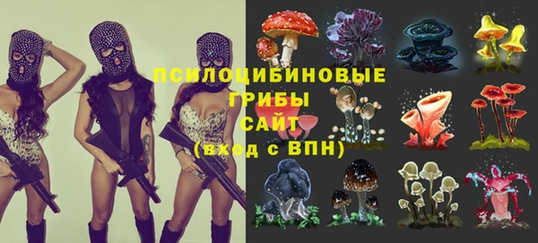 тгк Аркадак