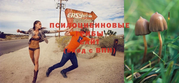 тгк Аркадак